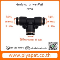 PE06 รูปโชว์6